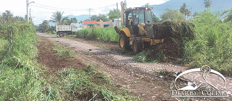 En la colonia La Cuarta, de Tecomán, personal de Obras Públicas realiza limpieza de calles y lotes que están llenos de maleza.