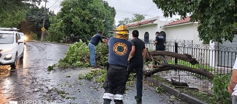 Diario de Colima