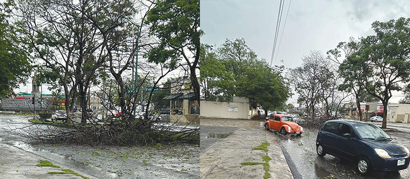 Diario de Colima