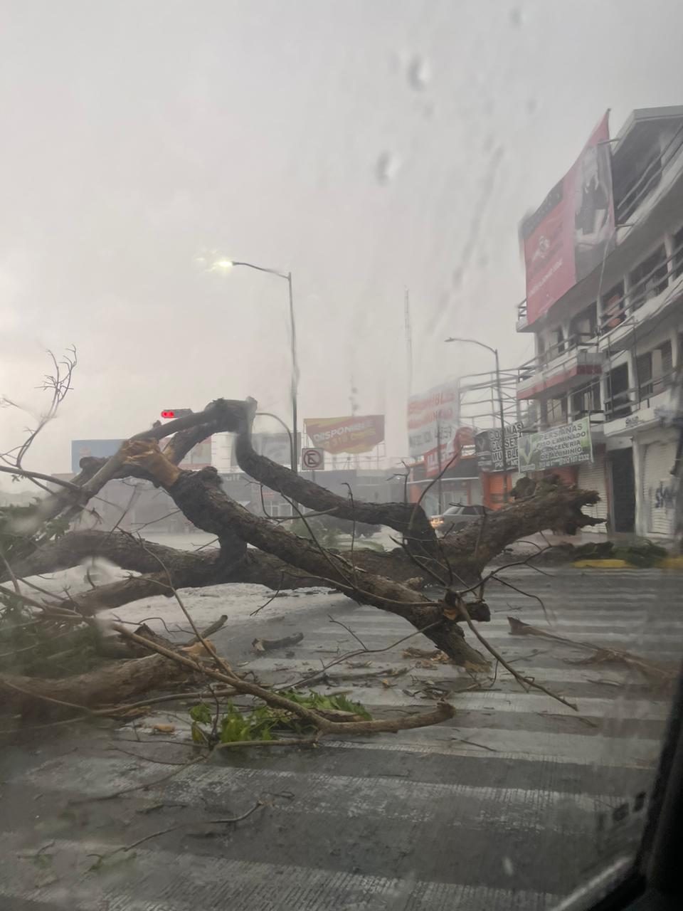 Diario de Colima